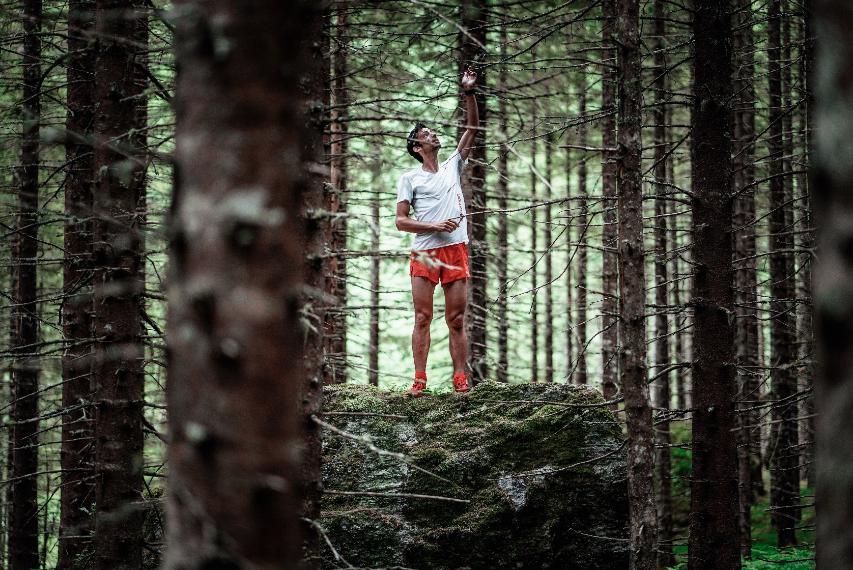 Kilian Jornet te regala su diario de entrenamiento